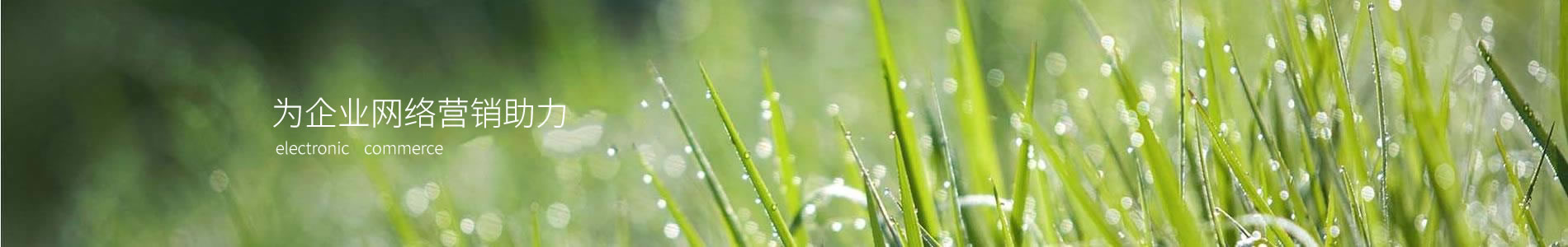ũڿƼչ޹˾